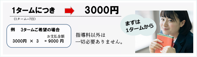 豊橋、高校英語、英語塾、小久保塾、基礎、文法、共通テスト、大学入試、少人数、オンライン英作文添削指導、1タームにつき3000円